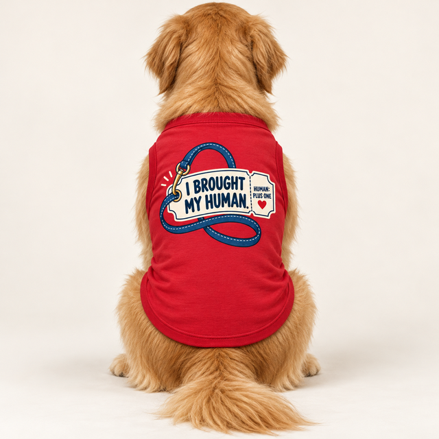 I Brought My Human Tee