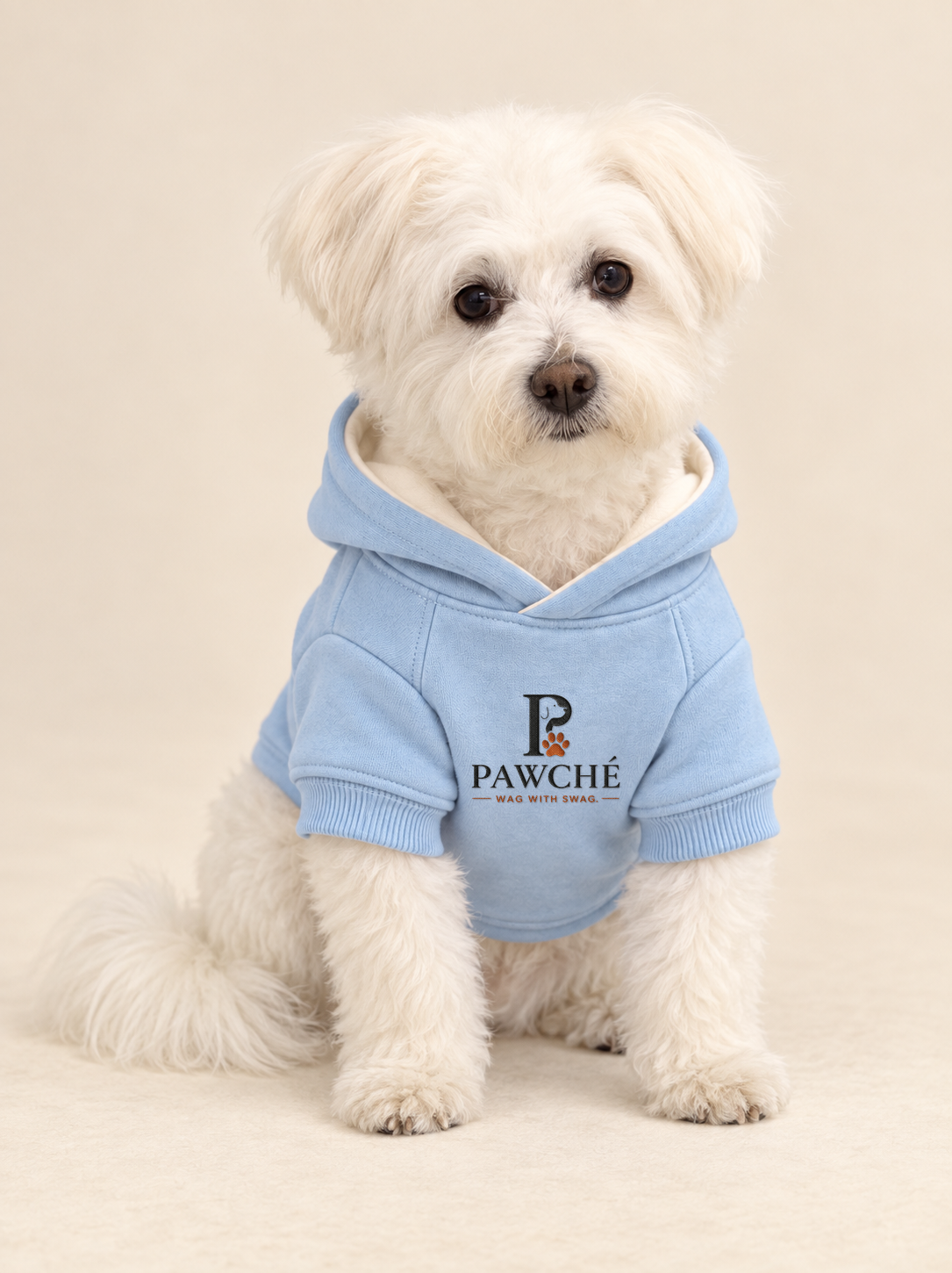 White dog wearing the Light Blue Signature Hoodie