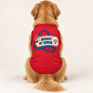 I Brought My Human Tee — view 2
