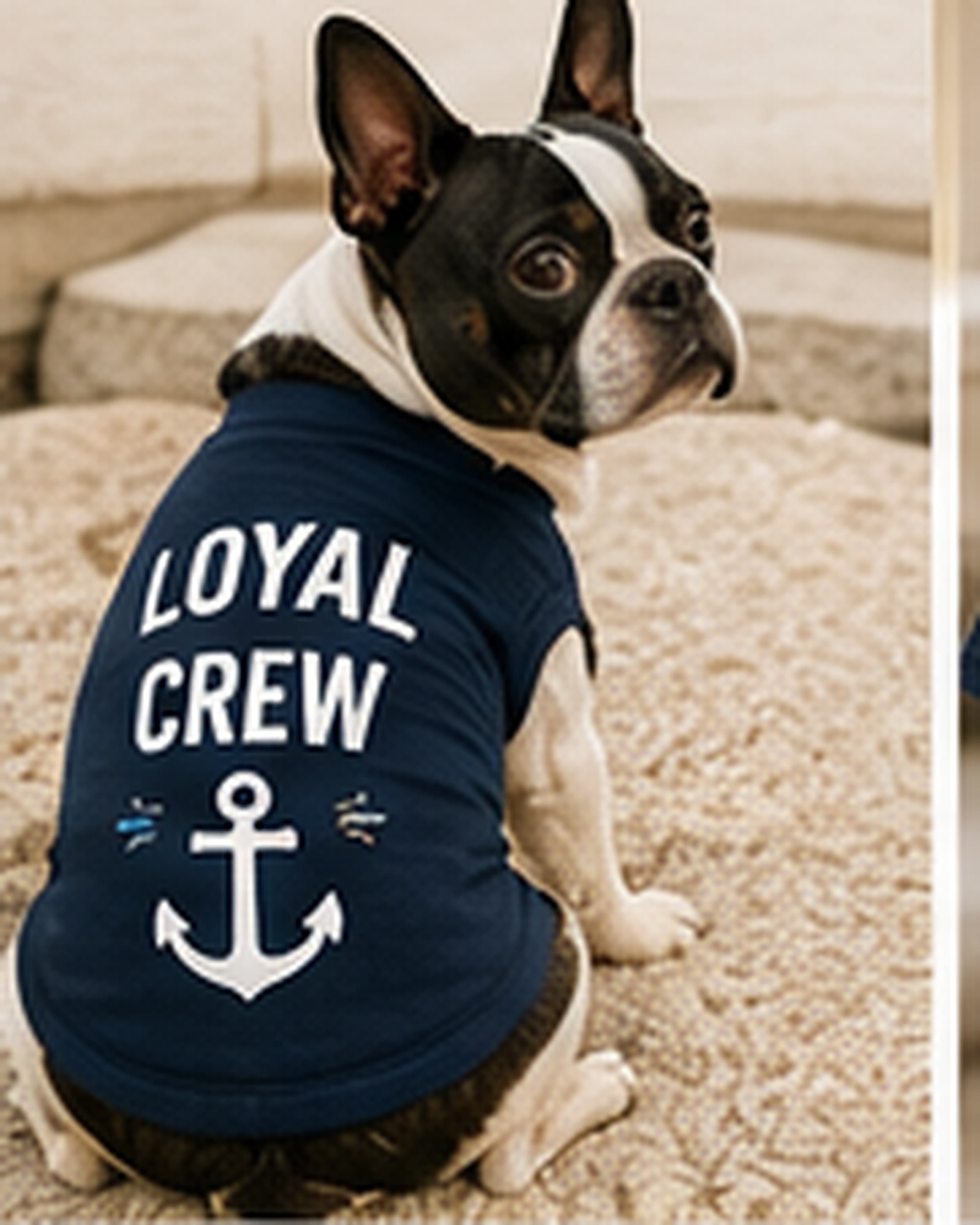 Loyal Crew Set — dog piece